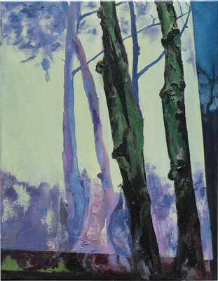 Волкова Светлана Вячеславовна. Юг 